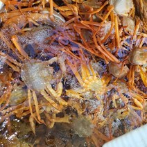선주직판 울진 후포리 홍게 3kg 생물 자숙 연지홍게 제철 홍게찜 라면용, 03. 생물 A급 울진 후포리 홍게 3kg
