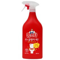 홈스타 뿌리는 곰팡이 싹 900ml [+사은품증정], 1개입