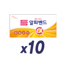 알파밴드 실속형 10장 구입