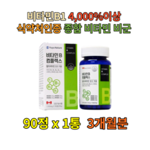 지용성 고농축 멀티 종합 비타민C 그린 프로폴리스 고함량 피로회복제 수용성 비타민비 미네랄 나이아신 활성 영양제 올인원 명품 파이토케미컬 A K B6 B2 B3 B12 크롬