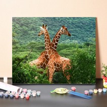 urkoteer DIY 명화 그리기 세트 40 x 50 cm 액자형 유화 붓 2세트 증정, 사슴-06