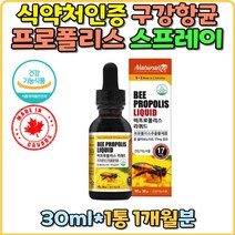 t.비 프로폴리스 스프레이 추출물 플라보노이드 17 구강 항균 유해산소 눈건강 피부건강 유산균배양물 아이 영양제 어린이 환절기 구강항균 키즈 추천 선물 bee propolis 온가족 홈쇼핑 식약처인증 캐나다