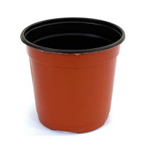[짱짱마켓] 이색포트(황토) 비닐포트 화분 모종 분갈이흙 플라스틱화분