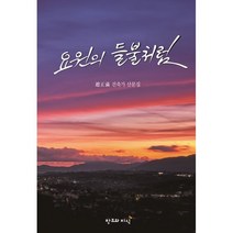 요원의 들불처럼:조정만 건축가 산문집, 조정만 저, 창조와지식