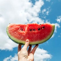 고당도 수박 당도선별 하우스 꿀수박, 줄무늬 수박 5kg~6kg