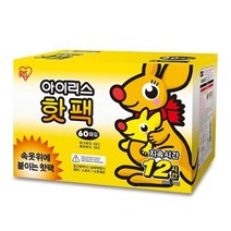 아이리스 의류 부착용 핫팩60개1회용핫팩 워머 보온 _ 2301013EA, 쿠팡 1, 쿠팡 본상품선택