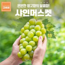 고씨네 프리미엄 샤인머스켓2kg 포도 샤인머스켓가격
