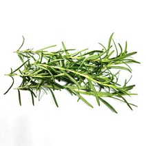 야채24닷컴 로즈마리 허브 생잎 100g, 1개
