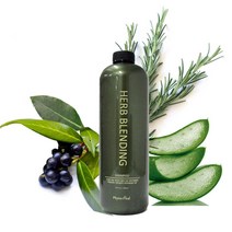 셀럽 피토힐 허브블렌딩샴푸 1000ml 착한성분 매일 사용하는 온가족 실리콘프리샴푸 1세트, 허브블렌딩샴푸1000ml