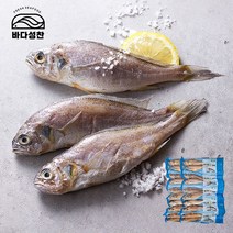 영광법성포 진공굴비 1.8kg(90gx20미), 단품