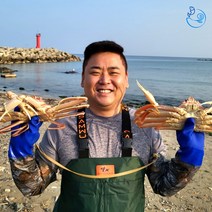 제철 대게 홍게 자숙 박달 연지 붉은 포항 구룡포 선주직송, [신선출발]홍게(자숙찜), 박달형연지홍게 3kg_수율 90% 내외, 1개