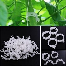 온실하우스 다육농장 스마트팜 옥상 텃밭 베란다 소형 100pcs 식물 클립 포도 나무 플라스틱 고정 클립 야채 고정 클립, 없음