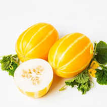 신선코리아 성주참외 농장 산지직송 못난이 가정용 1kg 참외 당일수확 박스 포장 제철과일 황금알참외 시세, 선물용1kg