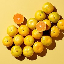 제주감귤농장 2.5kg 5kg 하우스귤 금귤, 로얄대과 2.5KG