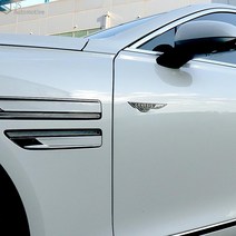 JS automotive 자동차 슬로건 엠블럼 빈티지 휀다 뱃지 도장 도면 튜닝 가니쉬 몰딩 실외 드레스업 용품, 12_미니_운전석-레드, 1개