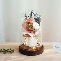 미니꽃다발 카네이션 LED유리돔 프리저브드플라워 어버이날 스승의날