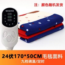 트럭 차박전기매트 12v매트 캠핑전기장판 온열매트, 24V 길이 170cmx50cm, 24V 길이 170cmx50cm