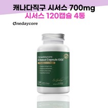 캐나다직구 시서스캡슐 700mg 120캡슐+씨서스 20배고농축 시서스 분말 가루 4세트 롯데백화점 상품권증정