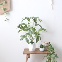 [바보사랑] 내추럴 파키라 조화 화분