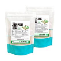 건강앤 차전자피 가루 총 1kg 500g 2팩, 2개