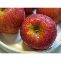 거창 부사 사과 5kg 10kg 16brix 이상 고당도 초신선 제철과일 과일선물 과일바구니, 부사사과 10kg 40-49과