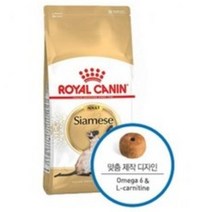 로얄캐닌 어덜트 샴 고양이 사료, 1개, 2kg