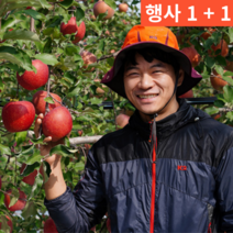 1+1(2박스) 아삭한 달콤한 보조개 꼬마 작은 큰 꿀 청송 홍로 부사 20 kg 키로, 정품 소 10kg(38-47과) 2박스