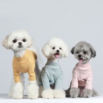 도매창고 애견옷 터틀넥 목폴라 캐주얼 강아지옷 가을옷 겨울옷 올인원 반려동물 애견의류 코튼 티셔츠 CP124, CP124-블루