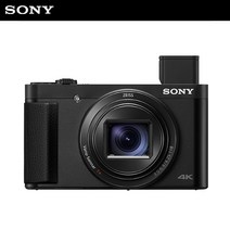 소니 공식대리점 하이앤드 디지털 카메라 DSC-HX99 + GP-VPT1 (슈팅그립 삼각대) 패키지, 단품
