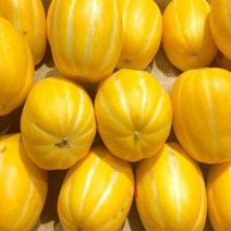 고씨네 산지직송 참외5kg 개구리참외 성주참외 참외, c룩어라운드 1, c룩어라운드 본상품선택