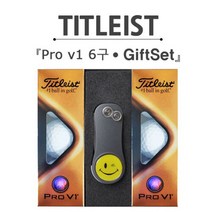 브라더스골프 타이틀리스트 Pro V1 6구 골프공 그린보수기 선물세트, 건메탈