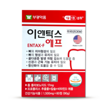 부광약품 이엔탁스 에프 1500mg, 60정, 1개, 60정