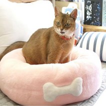 아페토 스탠다드 도넛방석 L 애견방석 하우스, 핑크