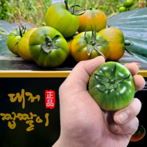 [농협인증 정품] 오리지널 부산 대저토마토 짭짤이 S 2S 3S 로얄과 1kg 2.5kg 산지직송, 1-2) 대저 짭짤이 2.5kg (특로얄과 3S-2S)