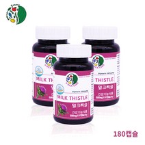 밀크씨슬 실리마린 실리빈 간헬퍼 LDL UDCA 효능 카르두스 마리아누스 비 알코올 숙취 피로회복 간기능 개선제 간영양제, 3