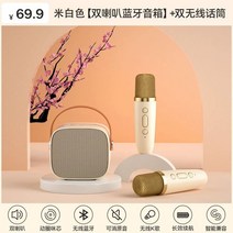 마이크 휴대용 블루투스 무선 노래방, 화이트 + 마이크2개
