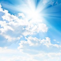 크림소다 식향 플레이버오일 립밤 향료 챕스틱 천연립밤재료, [ 50ml ]