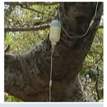 링거식 2노즐 수간주사 나무영양제 링거 병충해치료주입기