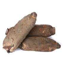 햇살조은 국내산 신선한 정품 햇 연근, 연근2kg