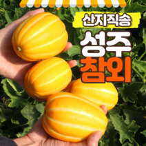 푸릇푸릇 성주참외 꿀참외 3kg 5kg 10kg, 3kg(1개), 1개