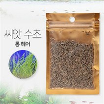 씨앗 수초 (롱 헤어) 8g 씨앗수초