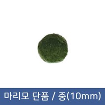 마리모 단품 중(10mm)