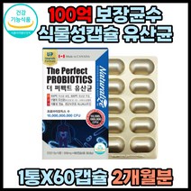 백억 알약 장 gg 유산균 식물성 유신균 약국 2개월분 락토바실러스 람로서스 부모님 여성 남성 남편 노인