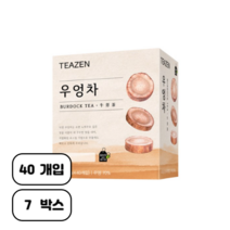 티젠 100세 시대 청춘비법 우엉차, 40g, 40개입, 7개