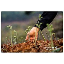 지리산하동 국산 생고사리 건고사리 삶은고사리 데친고사리 4kg/300g/150g, 건고사리300g