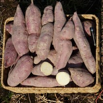 고구마10키로 해남 밤고구마 다이어트 군고구마 강아지 간식 3kg 5kg 10kg, 한입 5kg