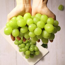 푸릇푸릇 고당도 샤인머스켓 포도 프리미엄 샤인머스캣 애플 청포도 망고포도 1.5kg 2kg, 샤인머스켓 2kg (3~4송이)
