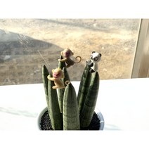 도자기 사기 홈가드닝 인테리어 화분꾸미기 피규어 화분피겨, 콩깍지