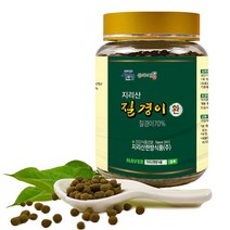 질경이환 170g/동의보감촌 지리산약초 전문 지리산 야생 차전초 혼합 전통환(지리산한방식품), 170g, 170g, 1개