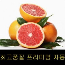 고씨네 특급 자몽 3kg 자몽청만들기 자몽효능 자몽청, 특급 샤인머스켓 2kg